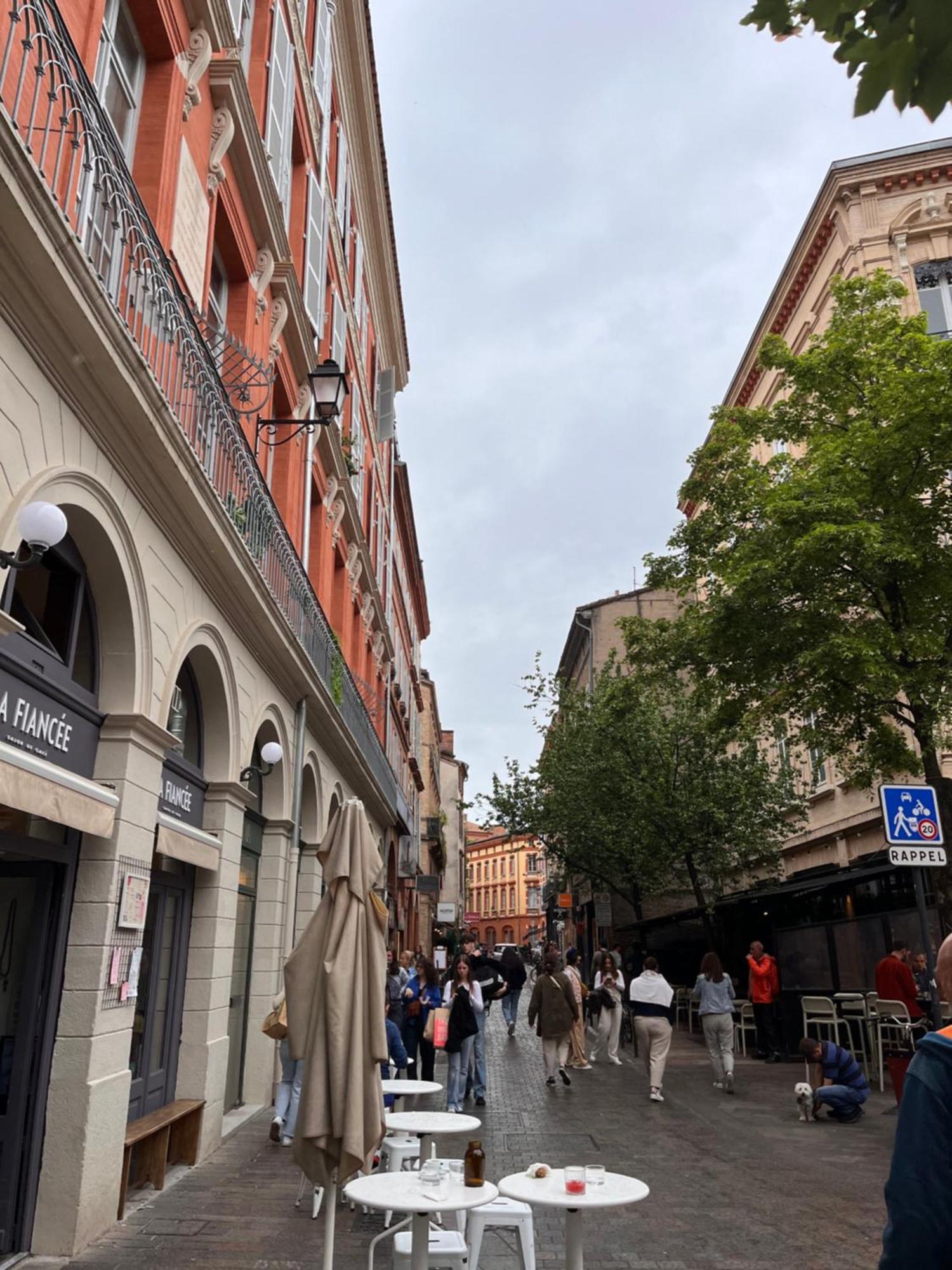 Le Petit Toulousain Chic Toulouse Exterior foto